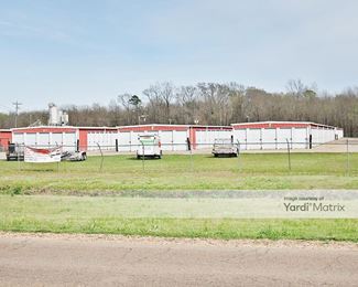 Photo 3 of Pelahatchie Bay Mini Storage - 2194 Highway 471, Brandon, MS