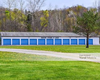 Photo 6 of Wayne Store-Lock - 6900 Route 31 East Road, Newark, NY